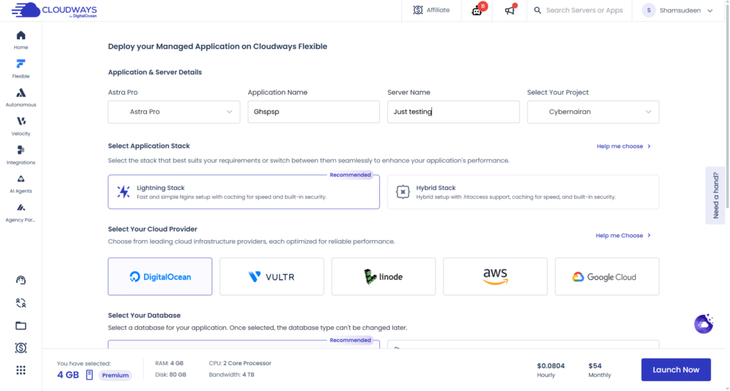 cloudways server and application
